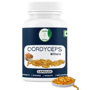 cordyceps militaris mushroom capsule